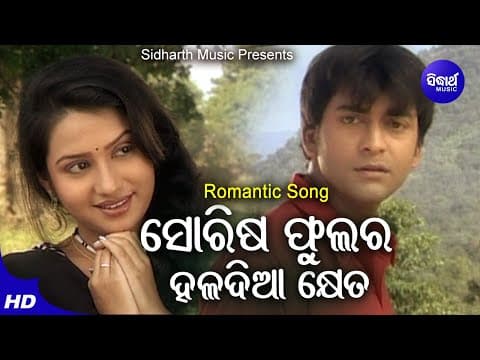 Sorisa Phulara Haladia Kheta Romantic Album Nibedita Somesh,Ameli,Neina Sidharth