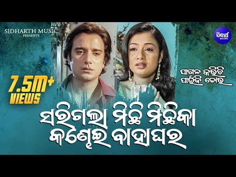 Sarigala Michhi Michhika Kandhei Bahaghara Suresh Wadekar, Nibedita