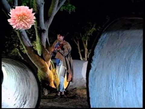 Aauthare Nebi Phulei Jhia