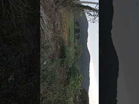 Old Film * Parabata Nadi Jharana* The Movie Of \