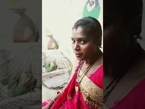 panjuri bhitare sari