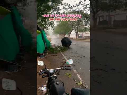 Basichi Pahache Kheliba Mina #vaira #shorts #odiasong #jayjagannathsong #kalijuga #kalijugamalika