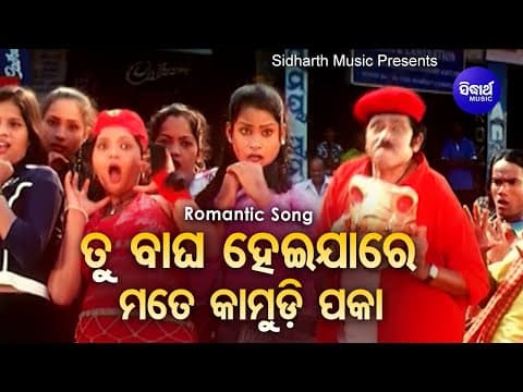 Tu Bagha Hei Jaa Re Mate Kamudi Paka Masti Film ତୁ ବାଘ ହେଇଯାରେ Sanghamitra \u0026 Bibhu Kishore