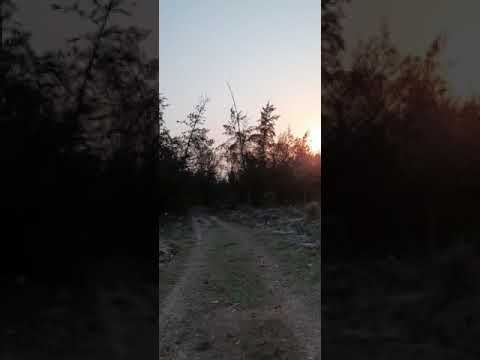 Roll No 27 Sujata senapati