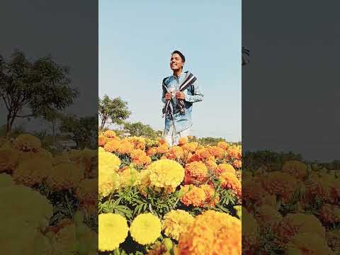 //THANK YOU BHAGABAN Film // film //virl // //