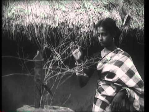 Kalyani \u0026 Pranab Patnaik sings 'Mun Ta Kularu Heli Bahara...' in Movie 'Mala Janha'