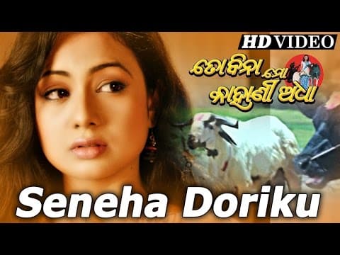SENEHA DORIKU Sad Film I TO BINA MO KAHANI ADHA I Archita Sidharth TV