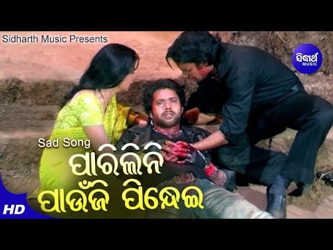 Parilini Paunji Pindhei Sad Film Udit Narayan Sabya,Archita,Budhaditya Sidharth