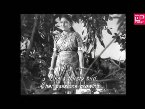 Basanta Pheriana movie