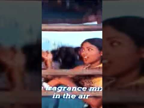 bhuka movie songs 💫😁🙂