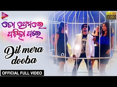 Heart Mora Dooba Debraj, Chinmayee Movie